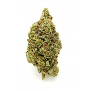 Buy TOM FORD PINK BUBBA (AAAA+) | Kushmapper